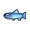 Jumping Anchovy 1